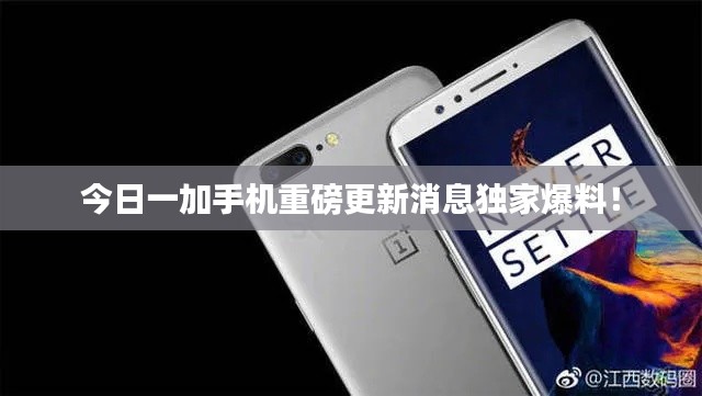 今日一加手机重磅更新消息独家爆料！