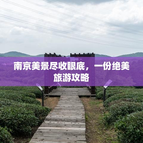 南京美景尽收眼底，一份绝美旅游攻略