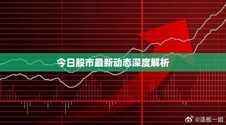 今日股市最新动态深度解析