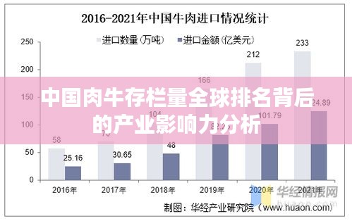 中国肉牛存栏量全球排名背后的产业影响力分析