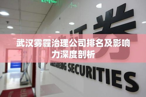 武汉雾霾治理公司排名及影响力深度剖析