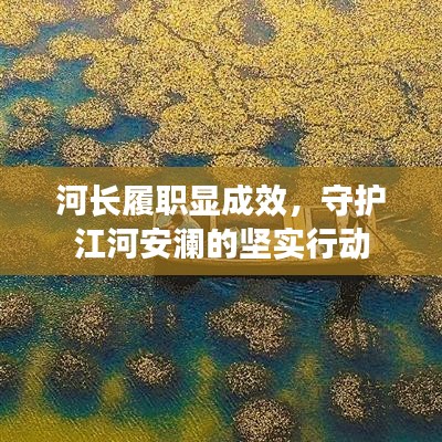 河长履职显成效，守护江河安澜的坚实行动