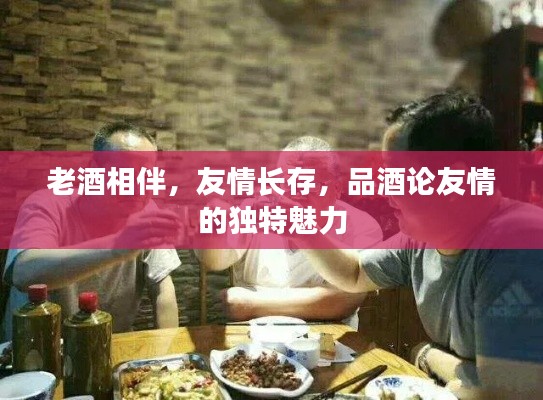 老酒相伴，友情长存，品酒论友情的独特魅力