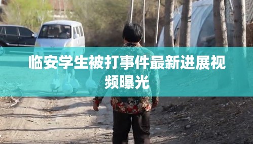 临安学生被打事件最新进展视频曝光