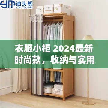 衣服小柜 2024最新时尚款，收纳与实用性的极致融合