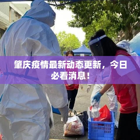 肇庆疫情最新动态更新，今日必看消息！