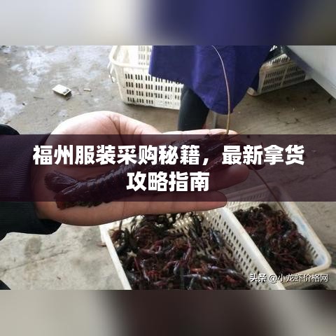 福州服装采购秘籍，最新拿货攻略指南