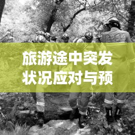 旅游途中突发状况应对与预防指南