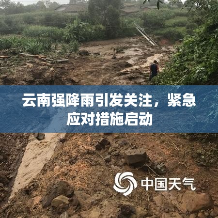 云南强降雨引发关注，紧急应对措施启动