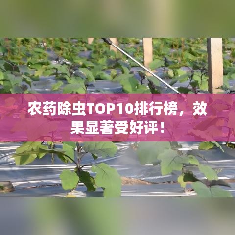 农药除虫TOP10排行榜，效果显著受好评！