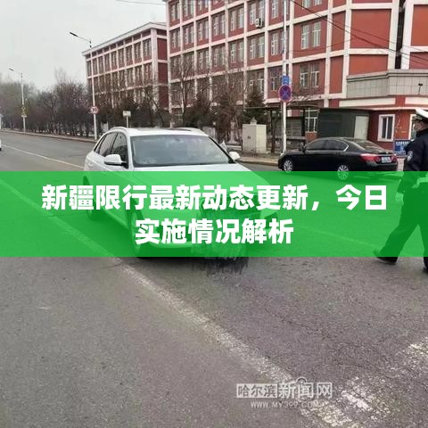 新疆限行最新动态更新，今日实施情况解析