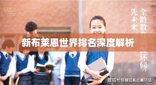 新布莱恩世界排名深度解析