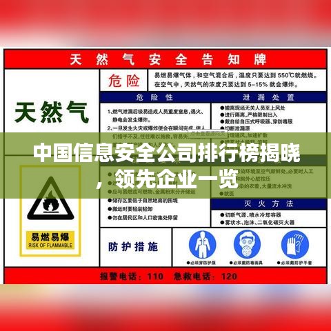 中国信息安全公司排行榜揭晓，领先企业一览