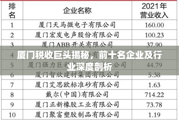 厦门税收巨头揭秘，前十名企业及行业深度剖析