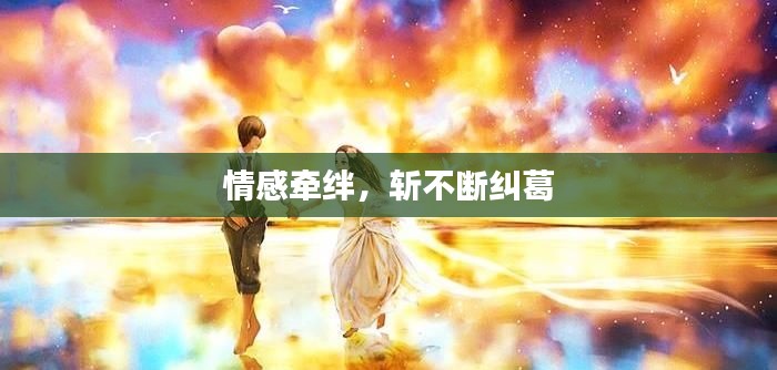 情感牵绊，斩不断纠葛