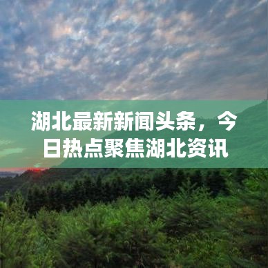 湖北最新新闻头条，今日热点聚焦湖北资讯