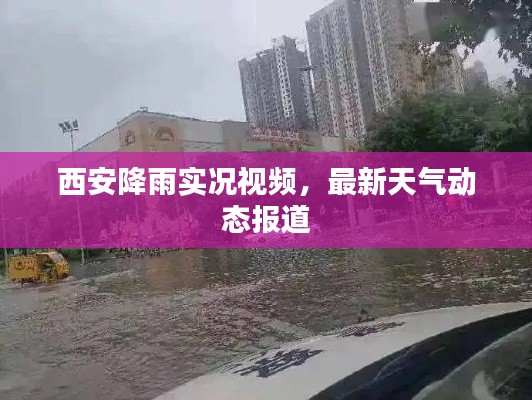 西安降雨实况视频，最新天气动态报道