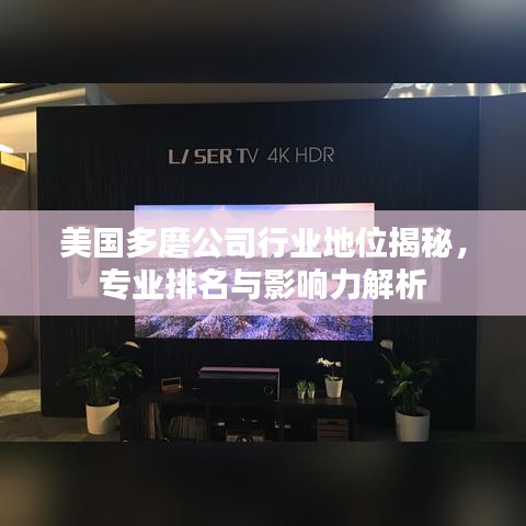 美国多磨公司行业地位揭秘，专业排名与影响力解析