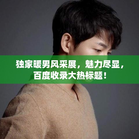独家暖男风采展，魅力尽显，百度收录大热标题！