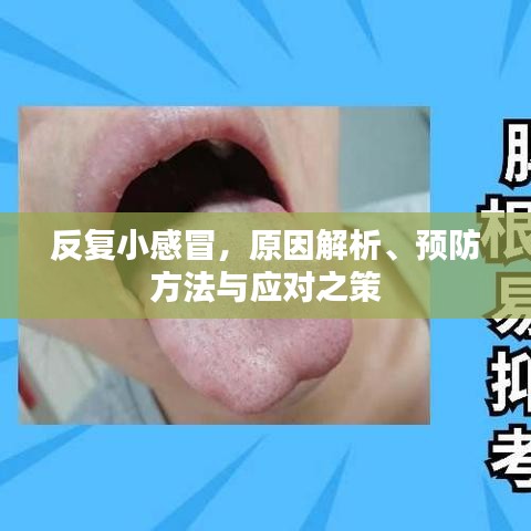 反复小感冒，原因解析、预防方法与应对之策