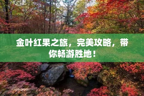 金叶红果之旅，完美攻略，带你畅游胜地！