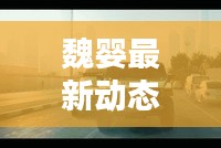 魏婴最新动态视频曝光，不容错过！
