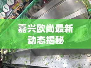 嘉兴欧尚最新动态揭秘
