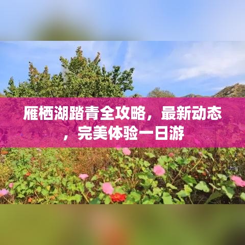雁栖湖踏青全攻略，最新动态，完美体验一日游
