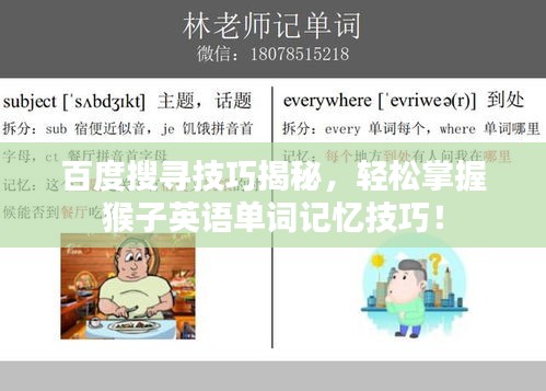 百度搜寻技巧揭秘，轻松掌握猴子英语单词记忆技巧！