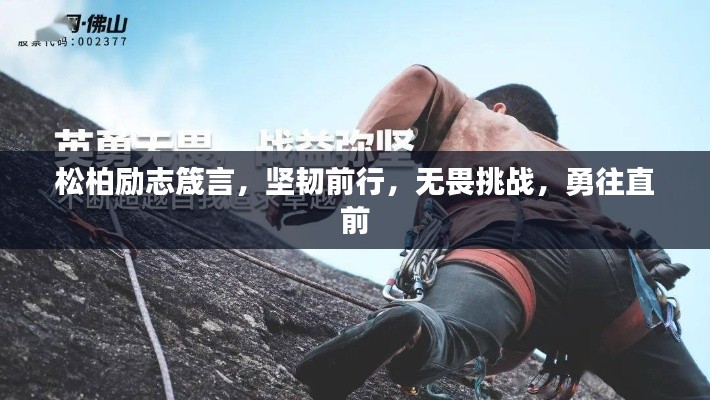 松柏励志箴言，坚韧前行，无畏挑战，勇往直前