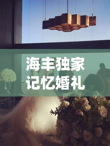 海丰独家记忆婚礼策划，缔造浪漫永恒瞬间
