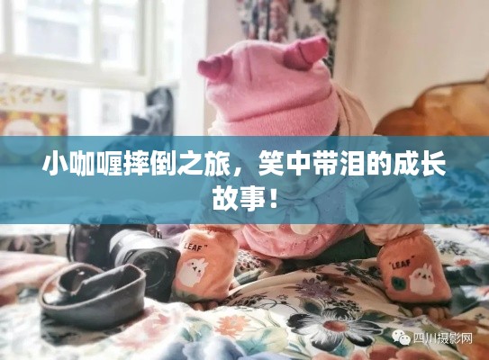 小咖喱摔倒之旅，笑中带泪的成长故事！