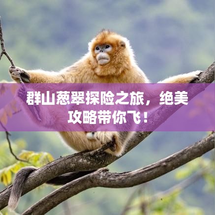 群山葱翠探险之旅，绝美攻略带你飞！