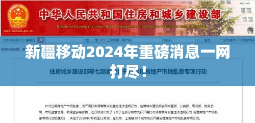 新疆移动2024年重磅消息一网打尽！