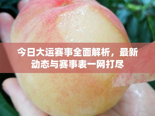 今日大运赛事全面解析，最新动态与赛事表一网打尽
