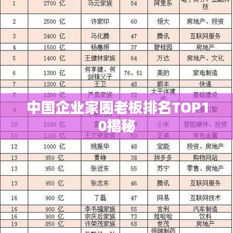 中国企业家圈老板排名TOP10揭秘