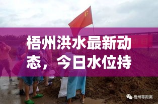 梧州洪水最新动态，今日水位持续上涨