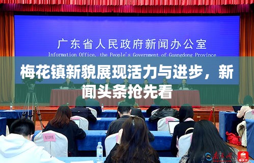 梅花镇新貌展现活力与进步，新闻头条抢先看