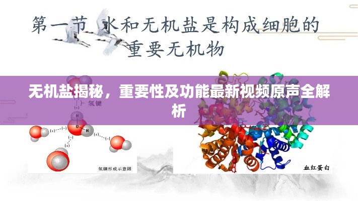 无机盐揭秘，重要性及功能最新视频原声全解析