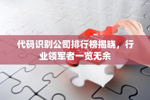 代码识别公司排行榜揭晓，行业领军者一览无余