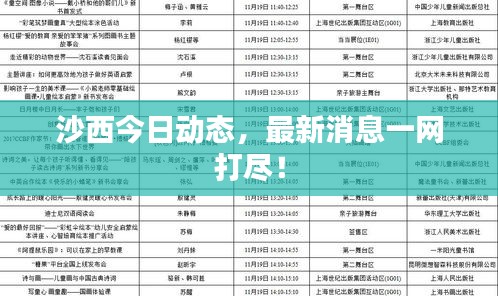 沙西今日动态，最新消息一网打尽！