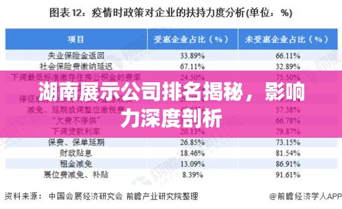 湖南展示公司排名揭秘，影响力深度剖析