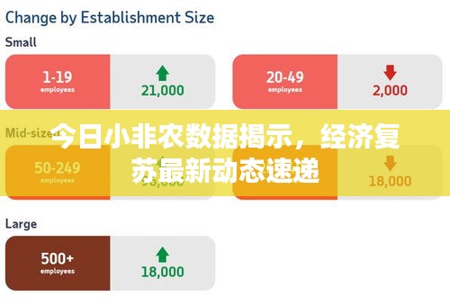 今日小非农数据揭示，经济复苏最新动态速递