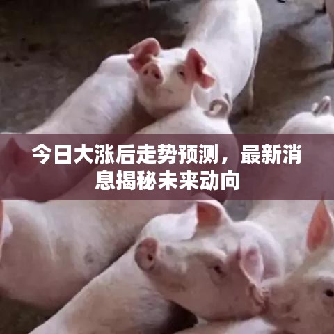 今日大涨后走势预测，最新消息揭秘未来动向