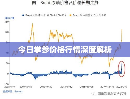 今日拳参价格行情深度解析