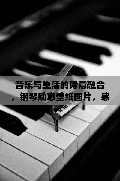 音乐与生活的诗意融合，钢琴励志壁纸图片，感受美好瞬间