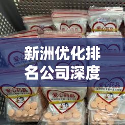 新洲优化排名公司深度比较与评估报告