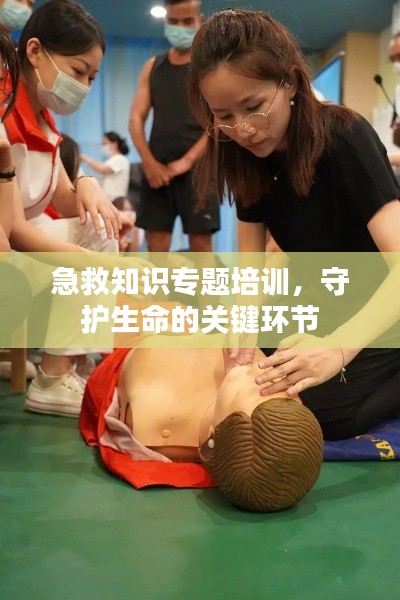 急救知识专题培训，守护生命的关键环节