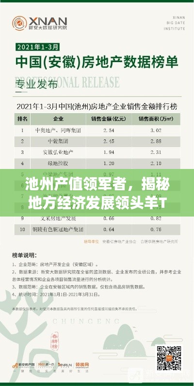 池州产值领军者，揭秘地方经济发展领头羊TOP10企业名单