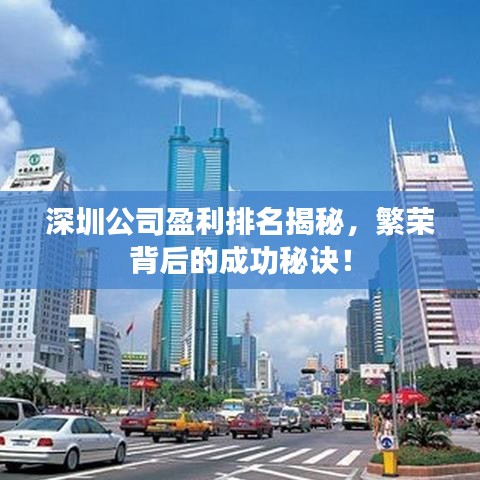 深圳公司盈利排名揭秘，繁荣背后的成功秘诀！